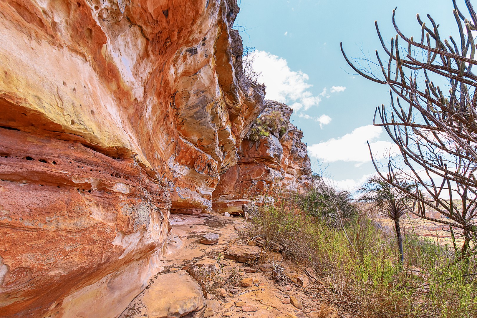 As Trilhas do sertão 04