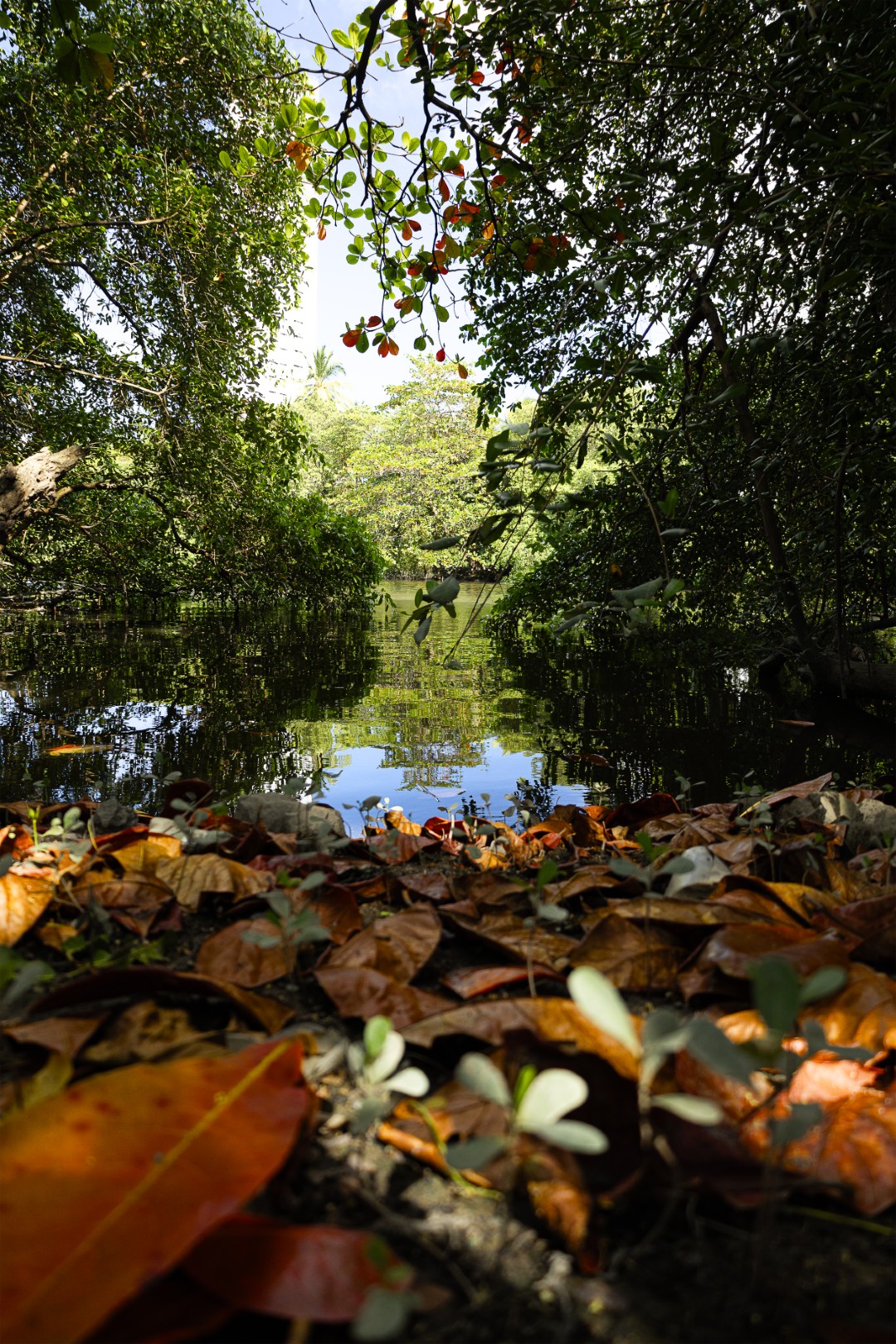 Capibaribe de Histórias