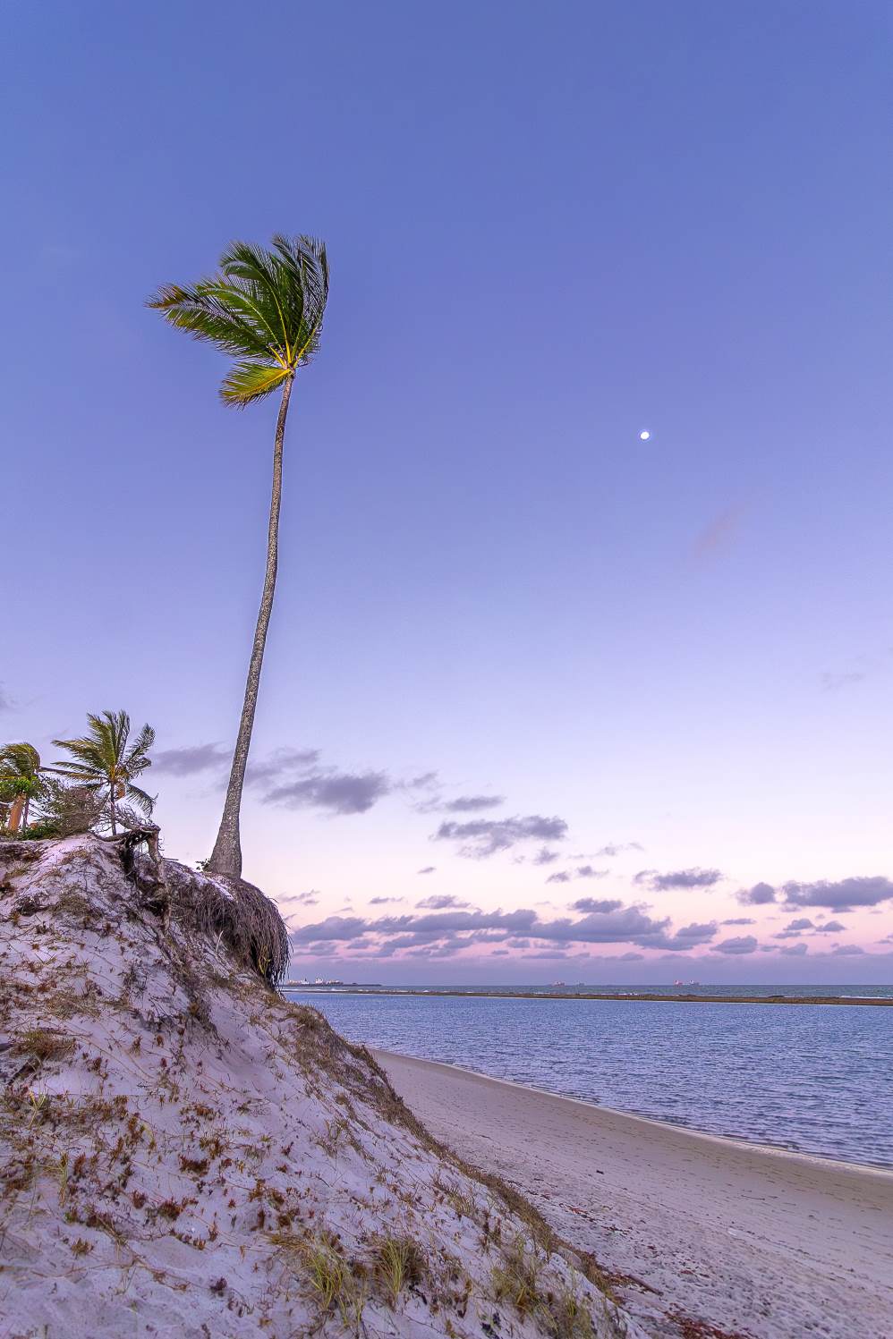 Crepúsculo Silencioso