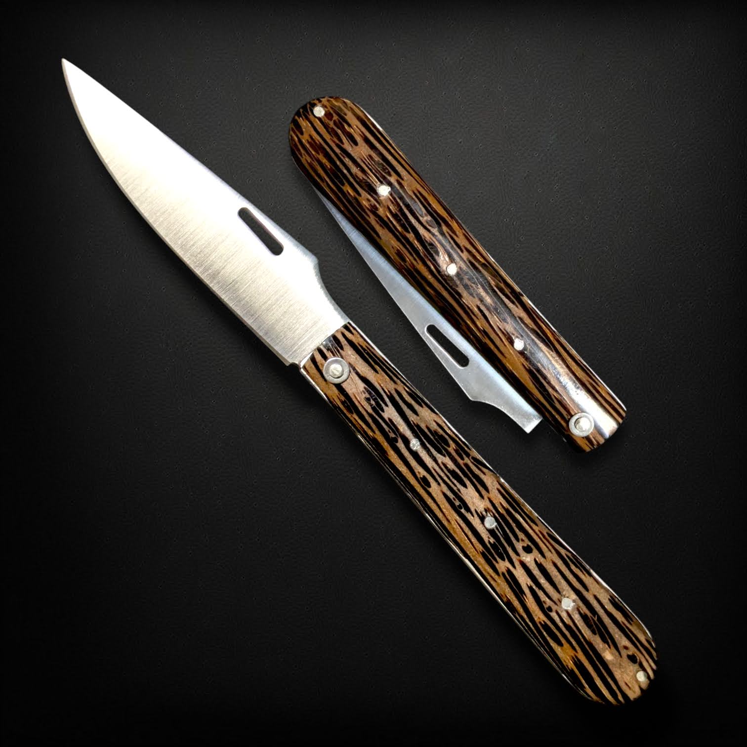 La Queue de Vache - Palmier