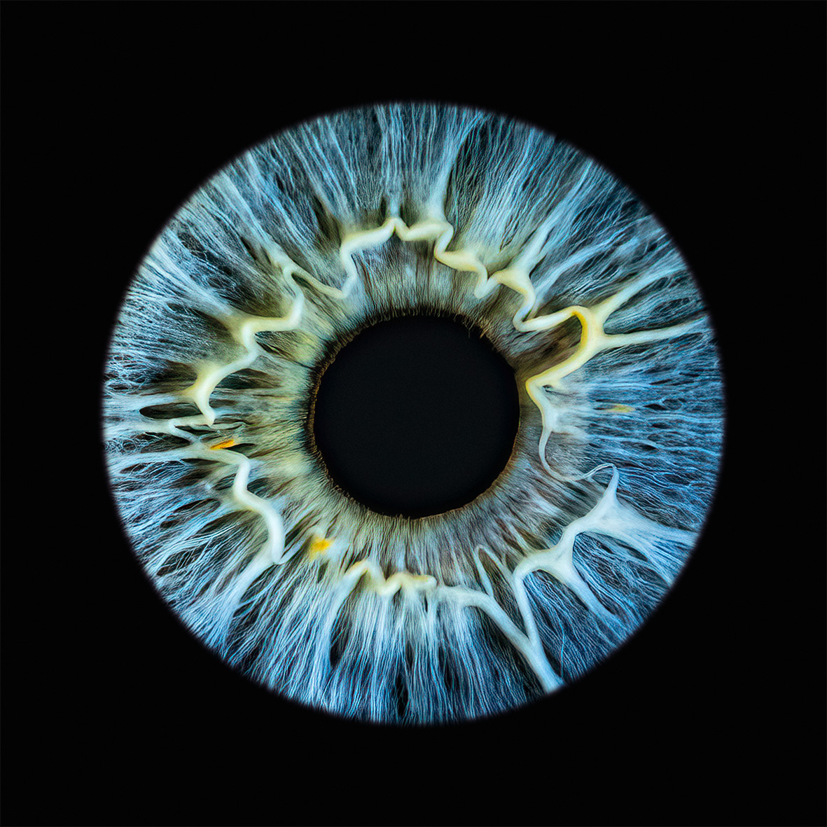 Voucher: zdjęcie tęczówki oka SOLO (duży)