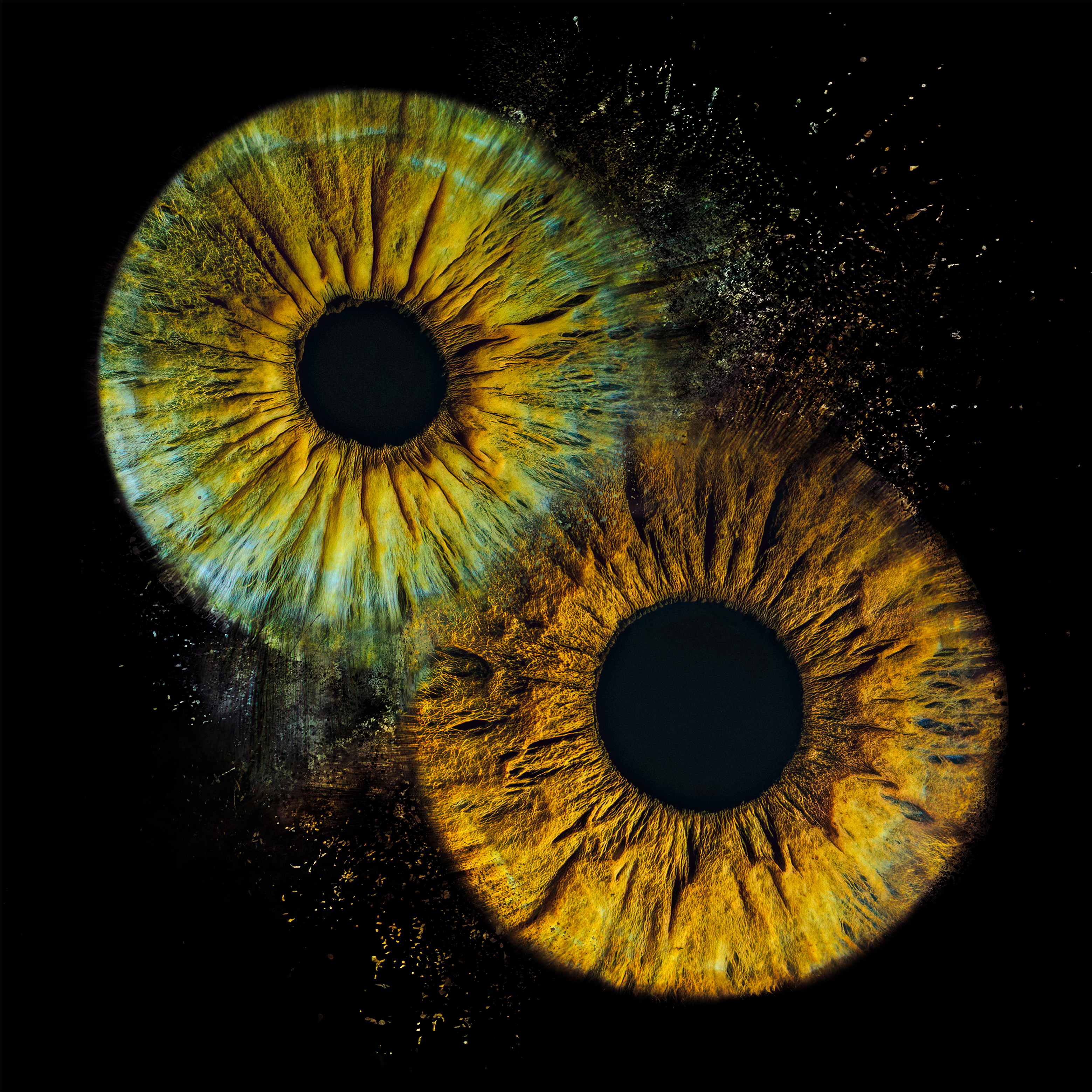 Voucher: zdjęcie tęczówki oka dla pary (małe)