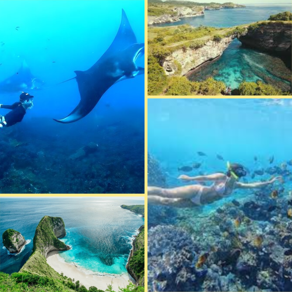 Private Trip Paket Complete