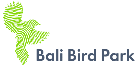 Bali Bird Park