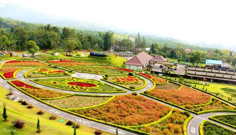 Taman Bunga Blooms Garden Bedugul