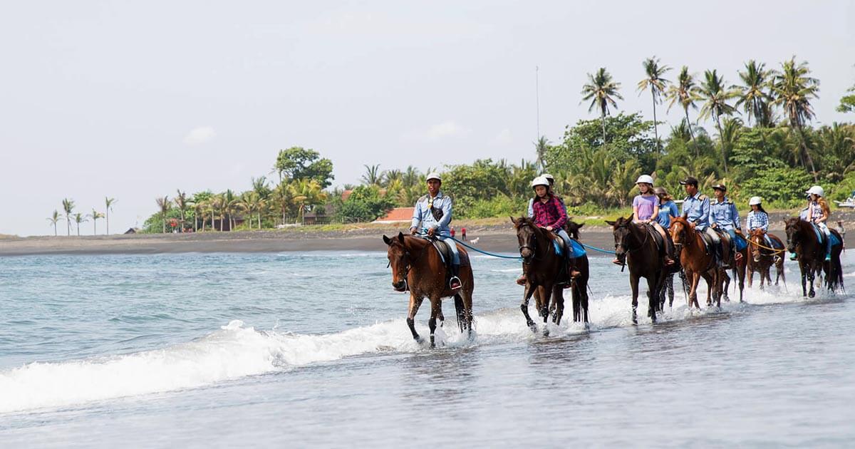 Berkuda di Bali