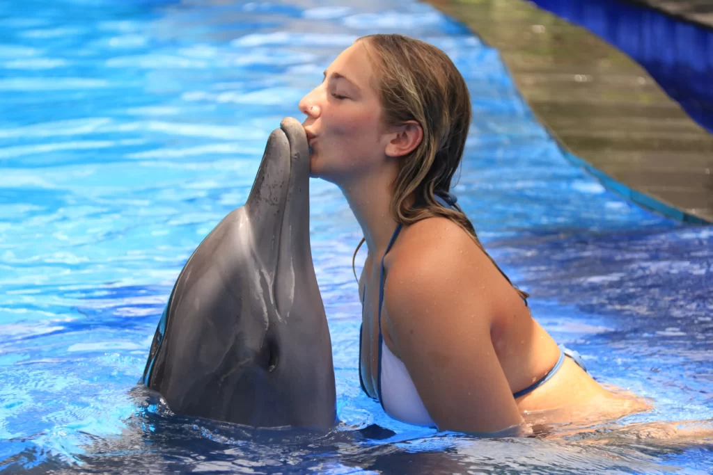 Swim With Dolphin