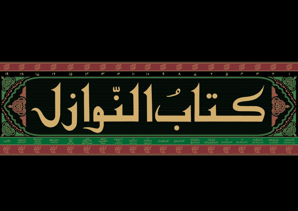 (١٩ جلدیں)  کتاب النوازل - اردو 