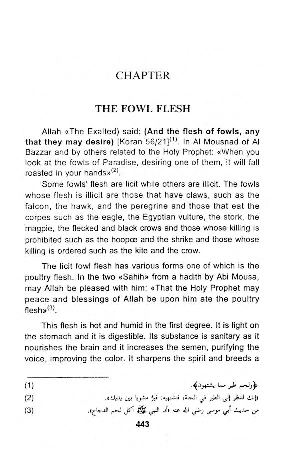 The Prophetic Medical Science – Tibbe Nabawi | English