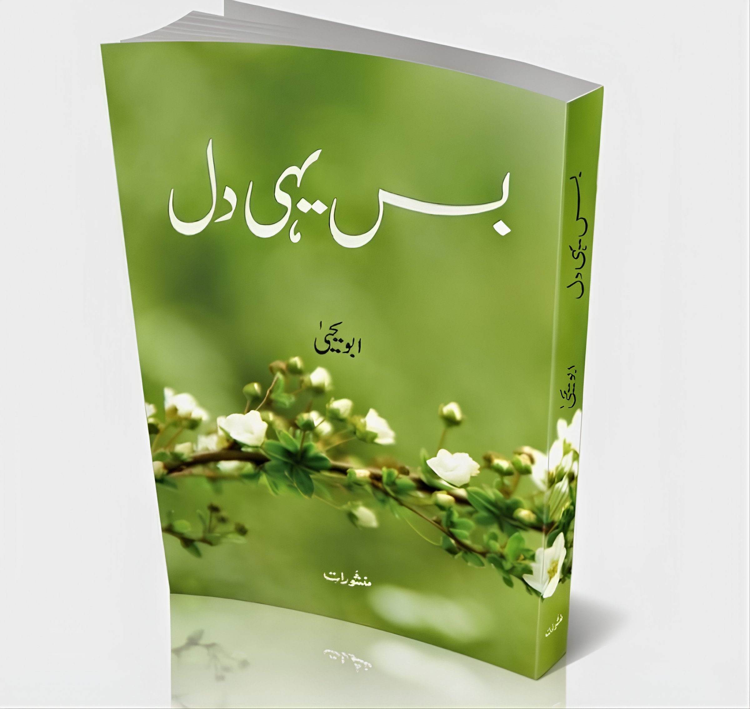 بس یہی دل