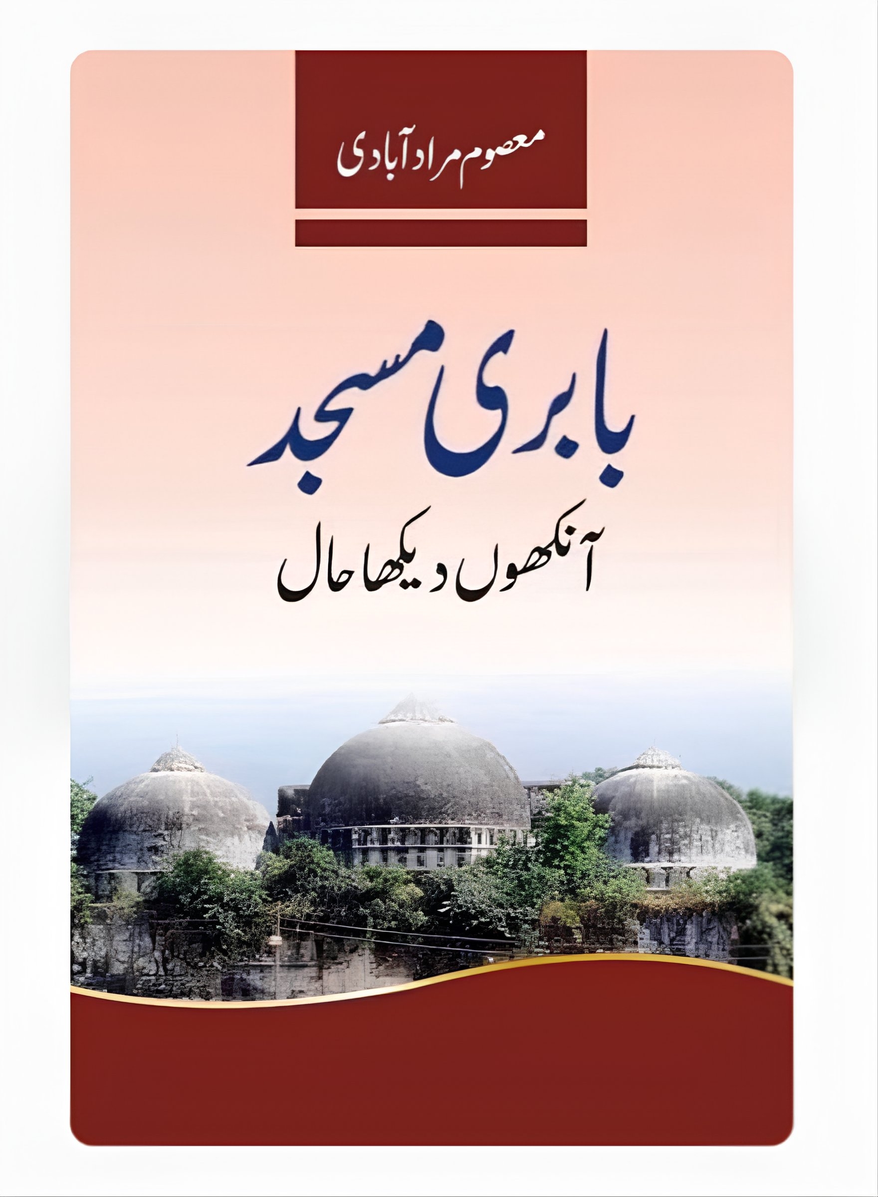 بابری مسجد آنکھوں دیکھا حال