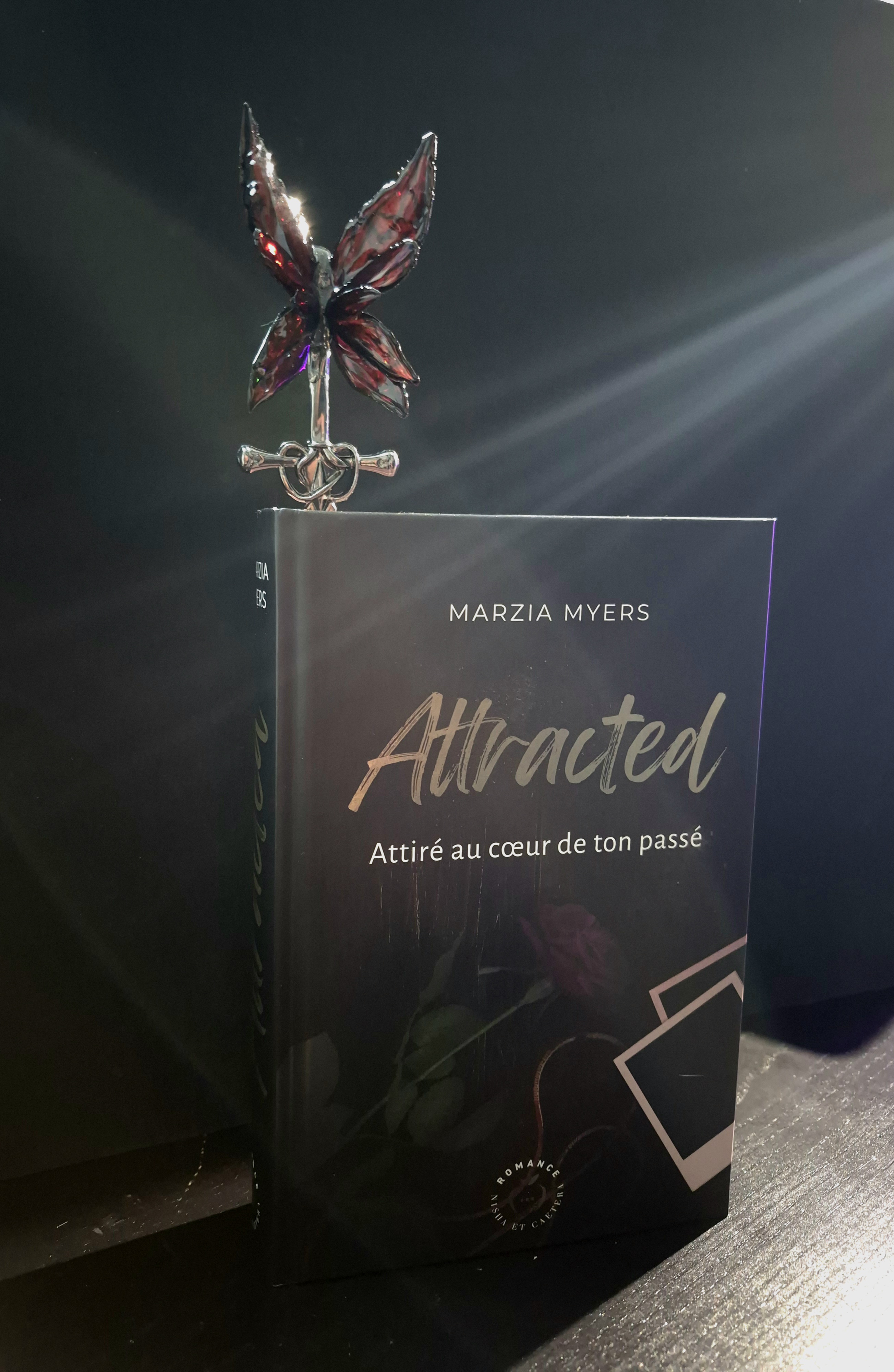 Pique à cheveux 'FÉE VENGERESSE'