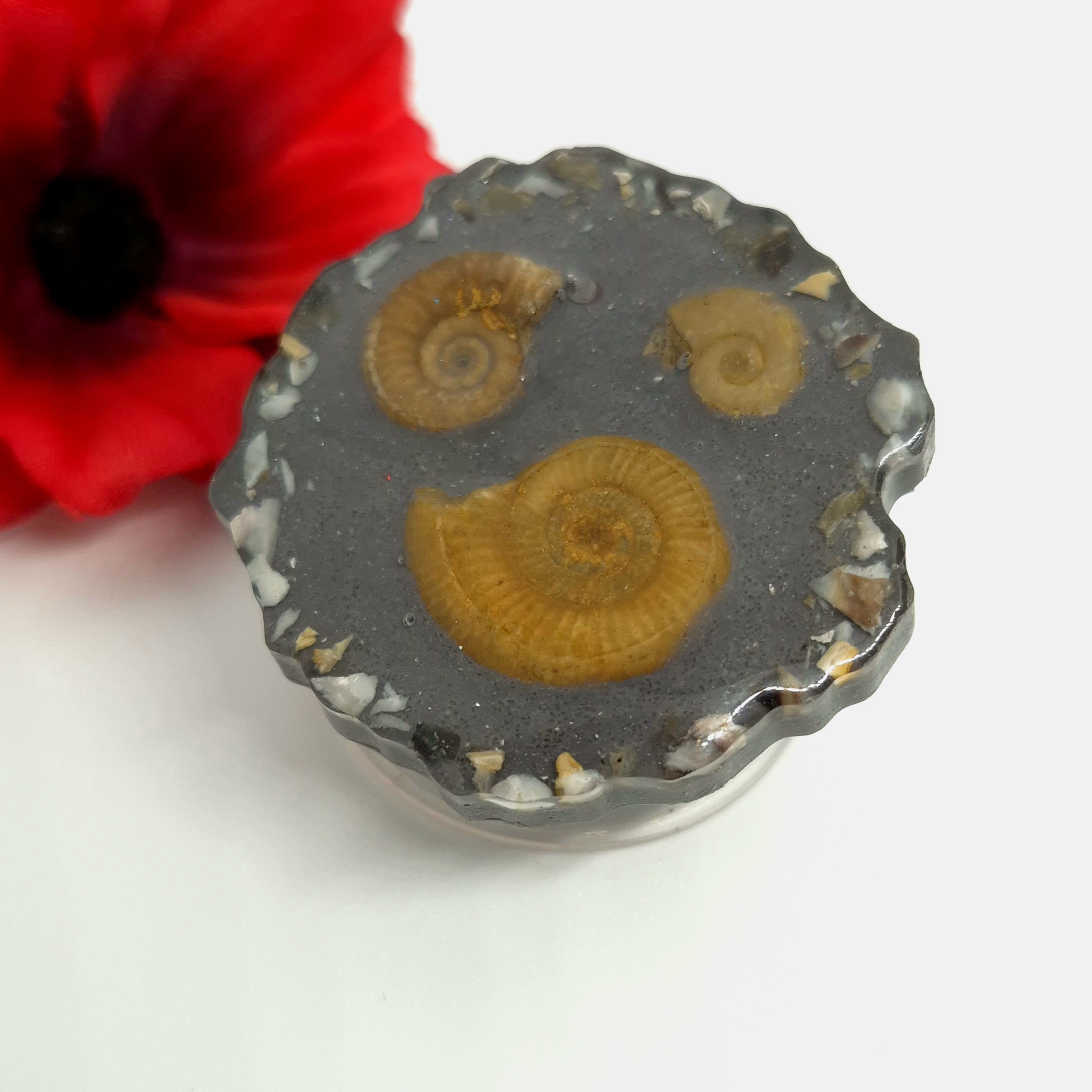 Support de téléphone 'AMMONITE'