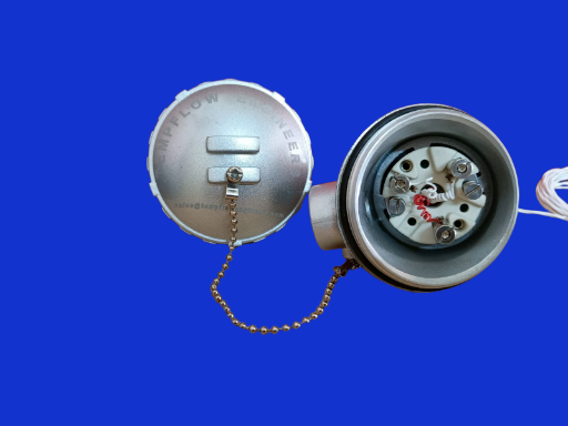 RTD PT100 KNE HEAD TYPE