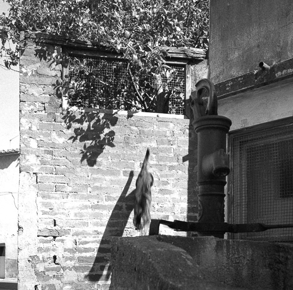 Canohès. L'ancienne fontaine