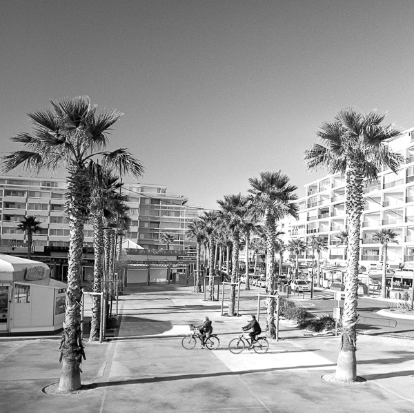 Journée d'hiver dans le Sud