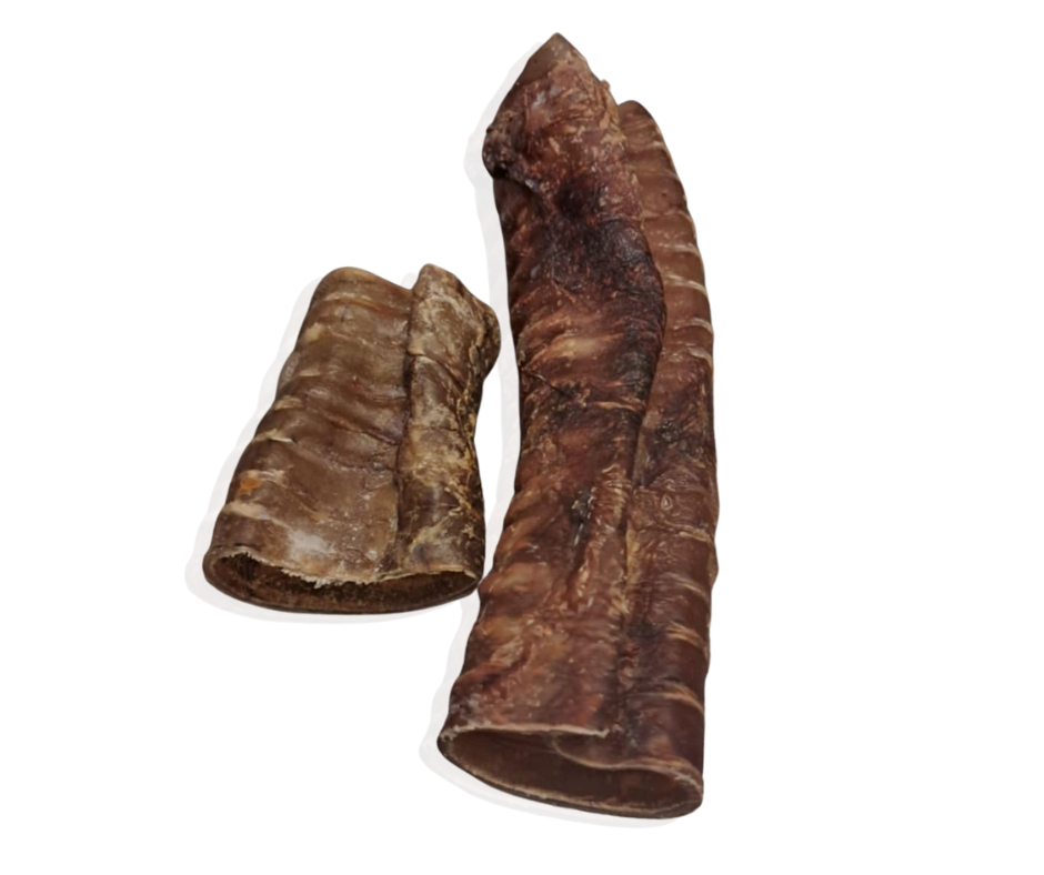 Trachėja 5-8cm gabaliukai 200g