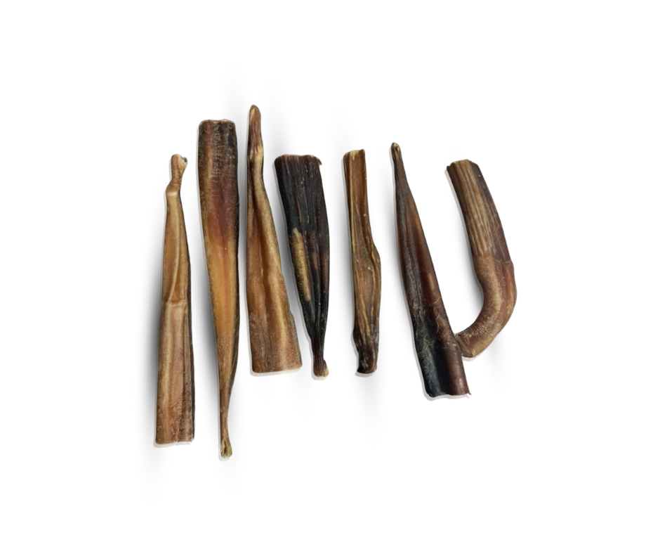 Nekondicinės jaučių penių lazdėlės 10-15cm