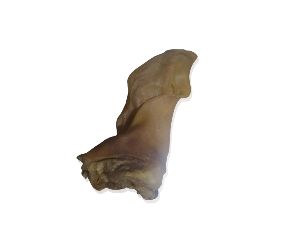 Vytinta jaučio ausis