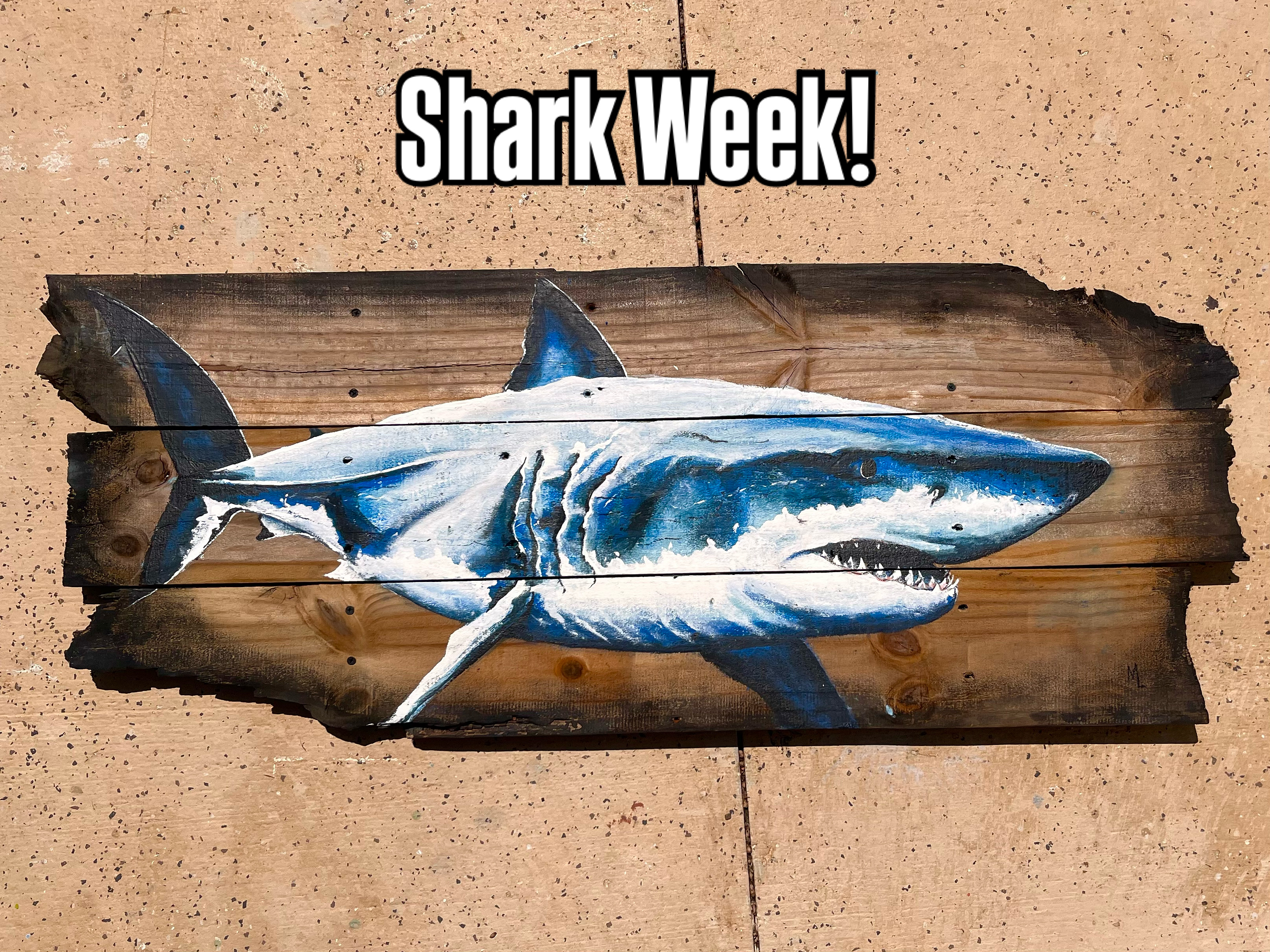 Shark Wall Art on Reclaimed Wood