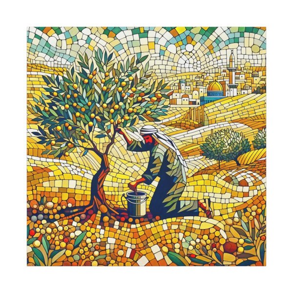 Jerusalem Olive Harvest IV
