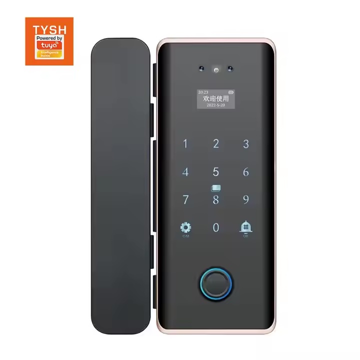 Smart Digital Glass Lock with Face ID