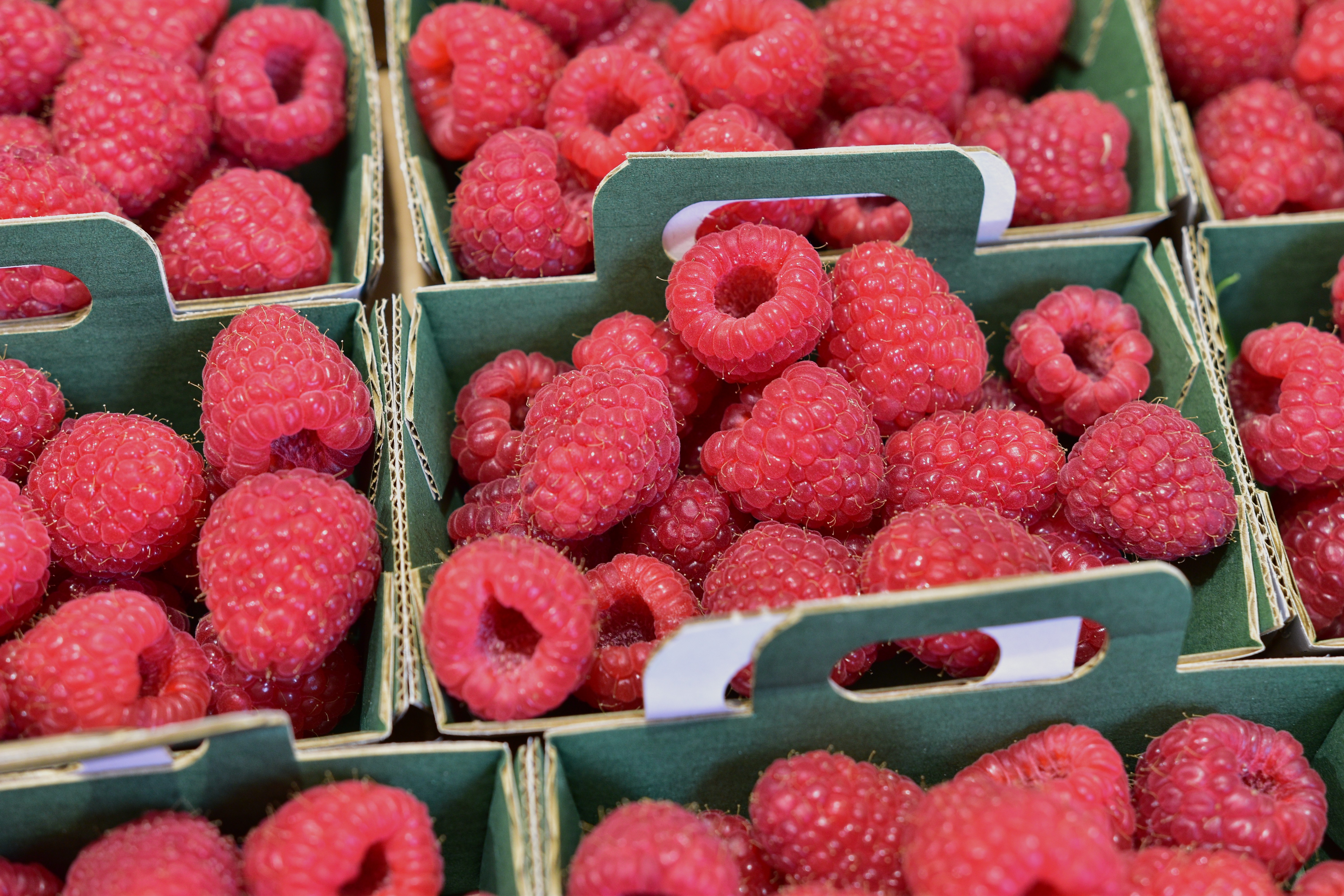 Barquette de Framboises