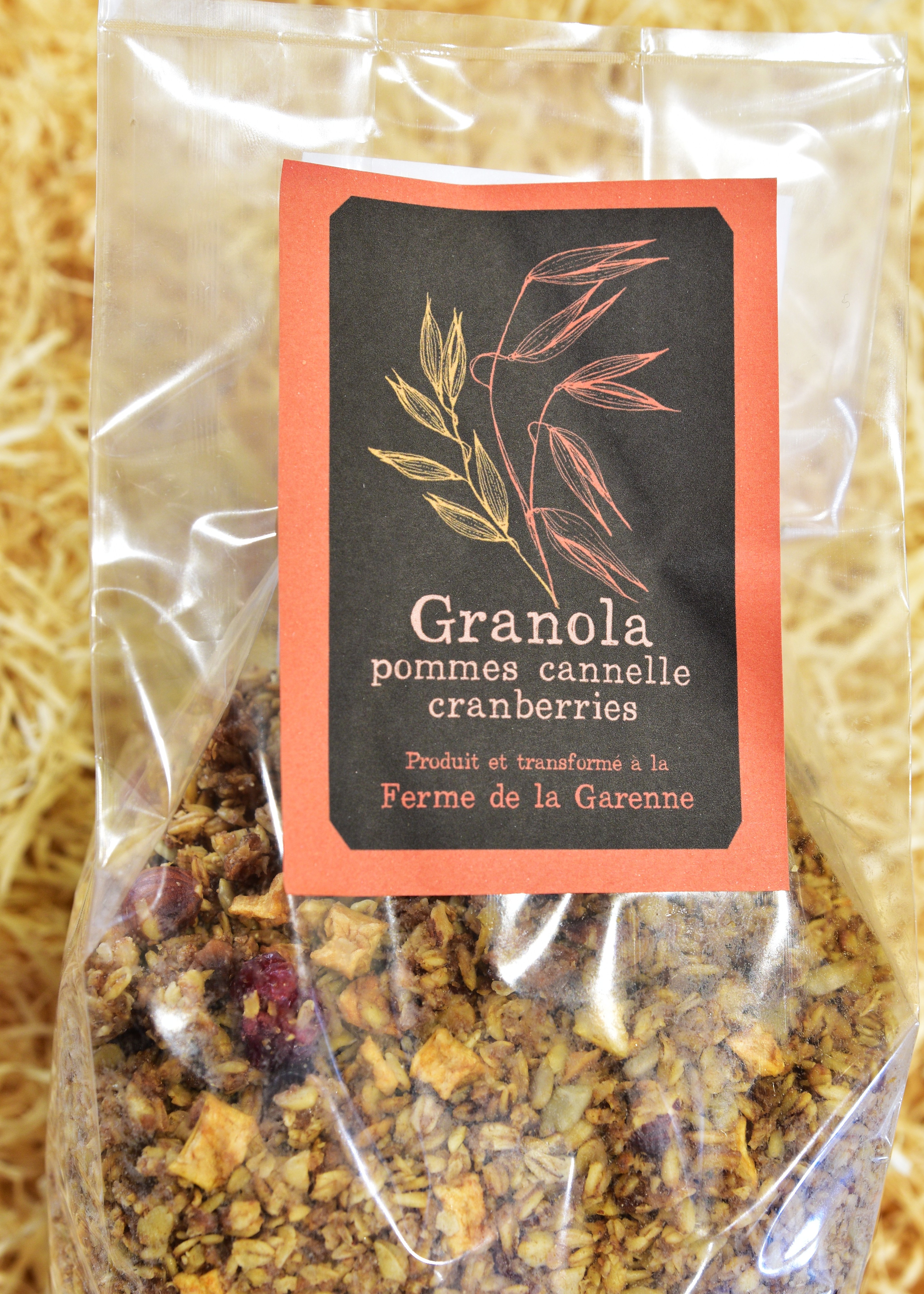 Granola pommes cannelle cranberries 