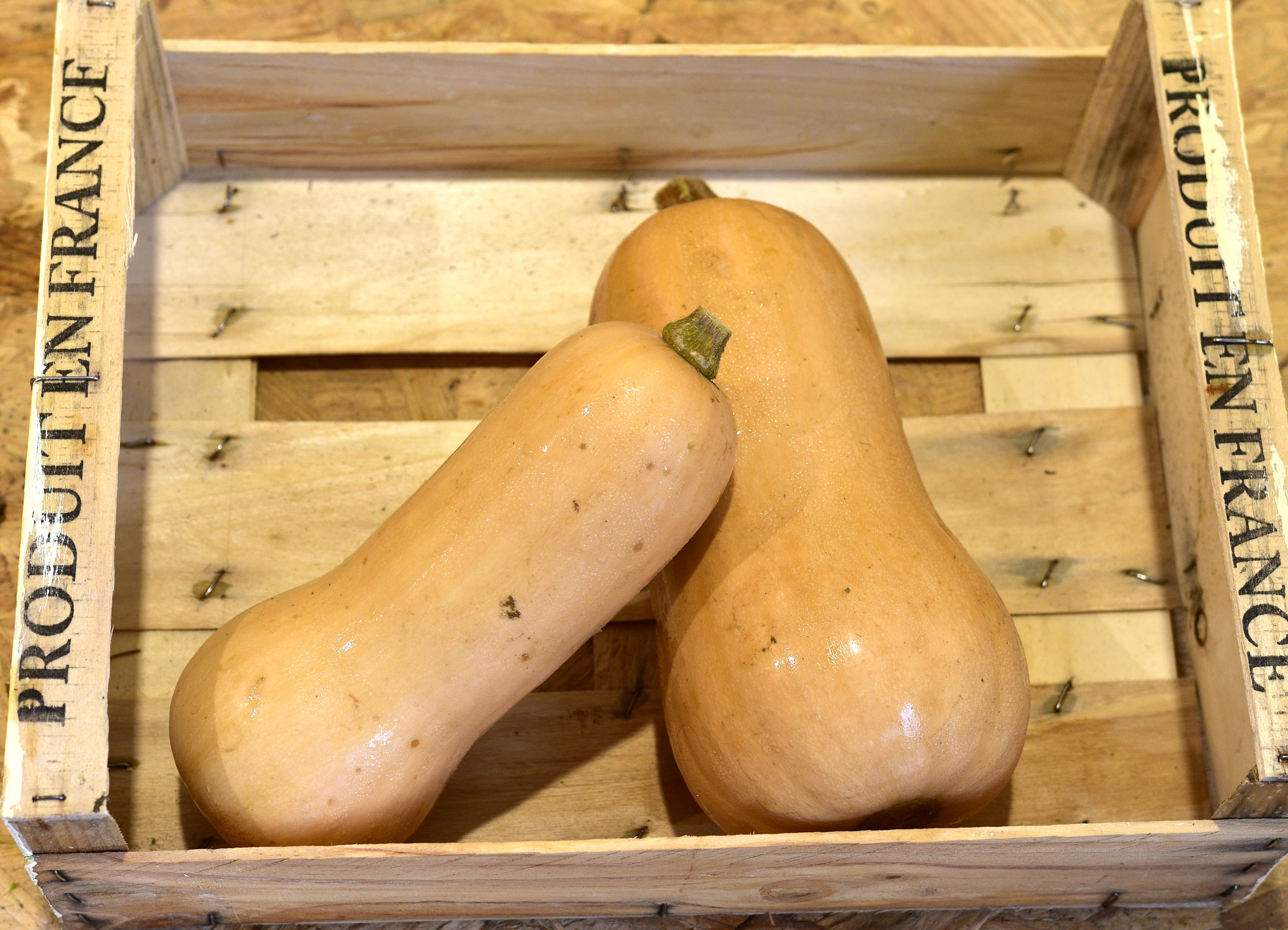 Butternut