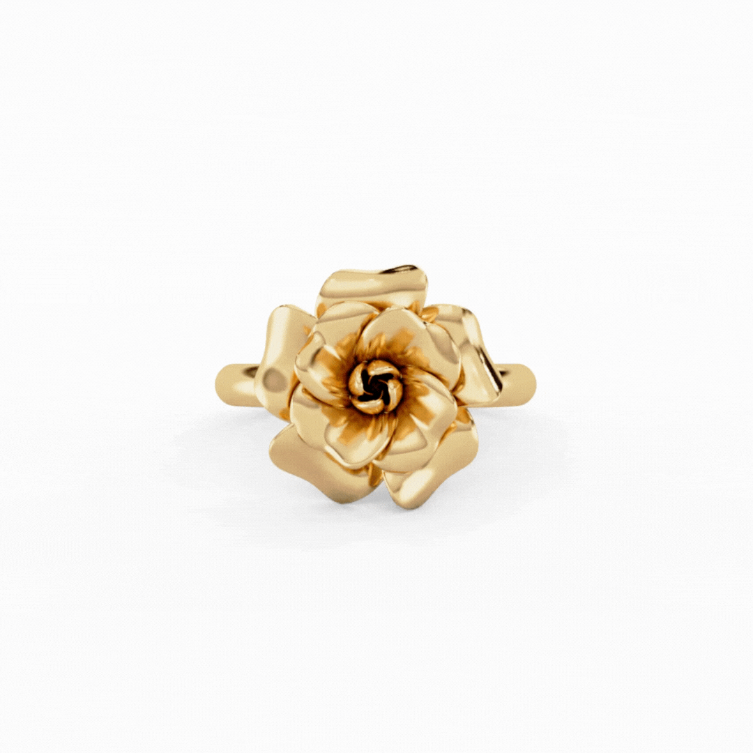 Resilient Bloom 