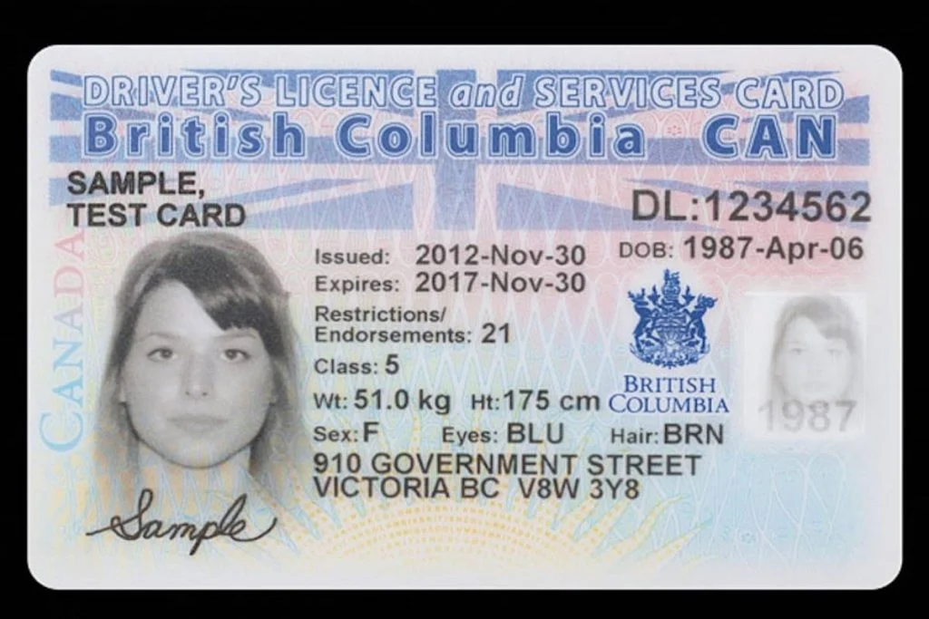 Authentic Canadian Driver's License