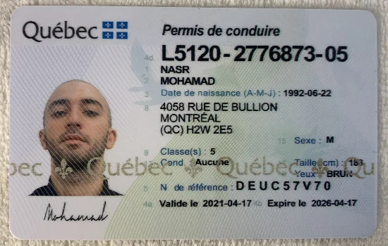 Authentic Canadian Driver's License