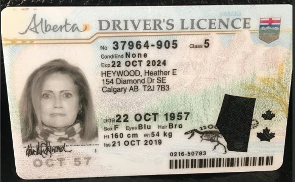 Authentic Canadian Driver's License