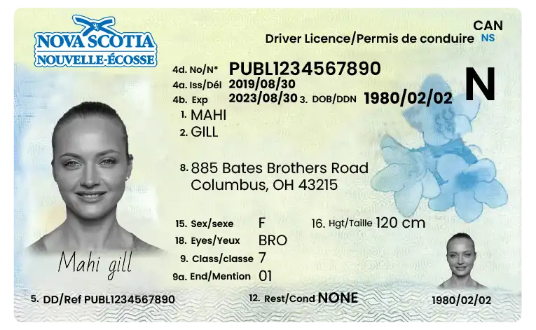 Authentic Canadian Driver's License
