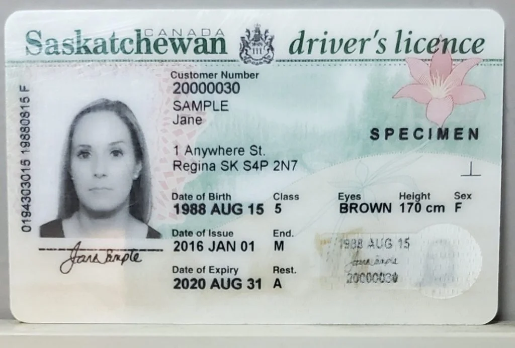Genuine Canadian Driver's License
