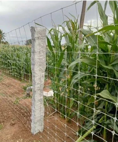 Tata Knotted Fancing