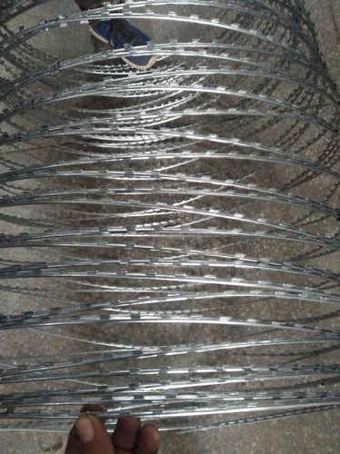 Mild Steel Consentina Coil