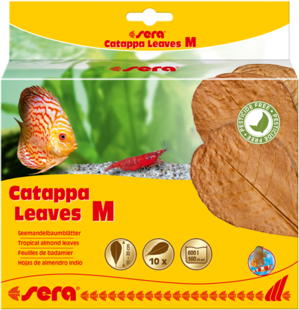 Catappa Leaves M 16-20 cm SERA