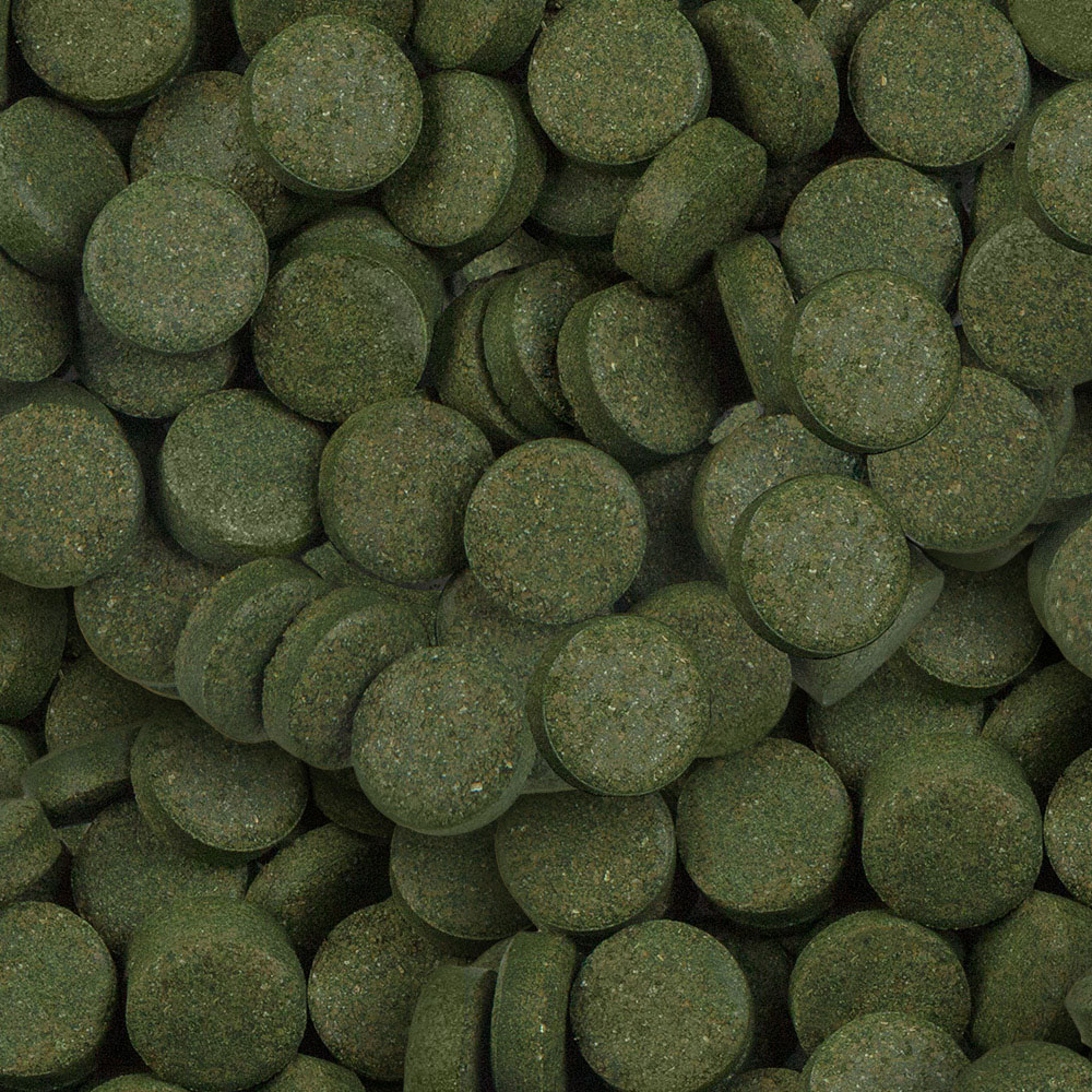 SERA Spirulina Tabs Nature 24 Tabs