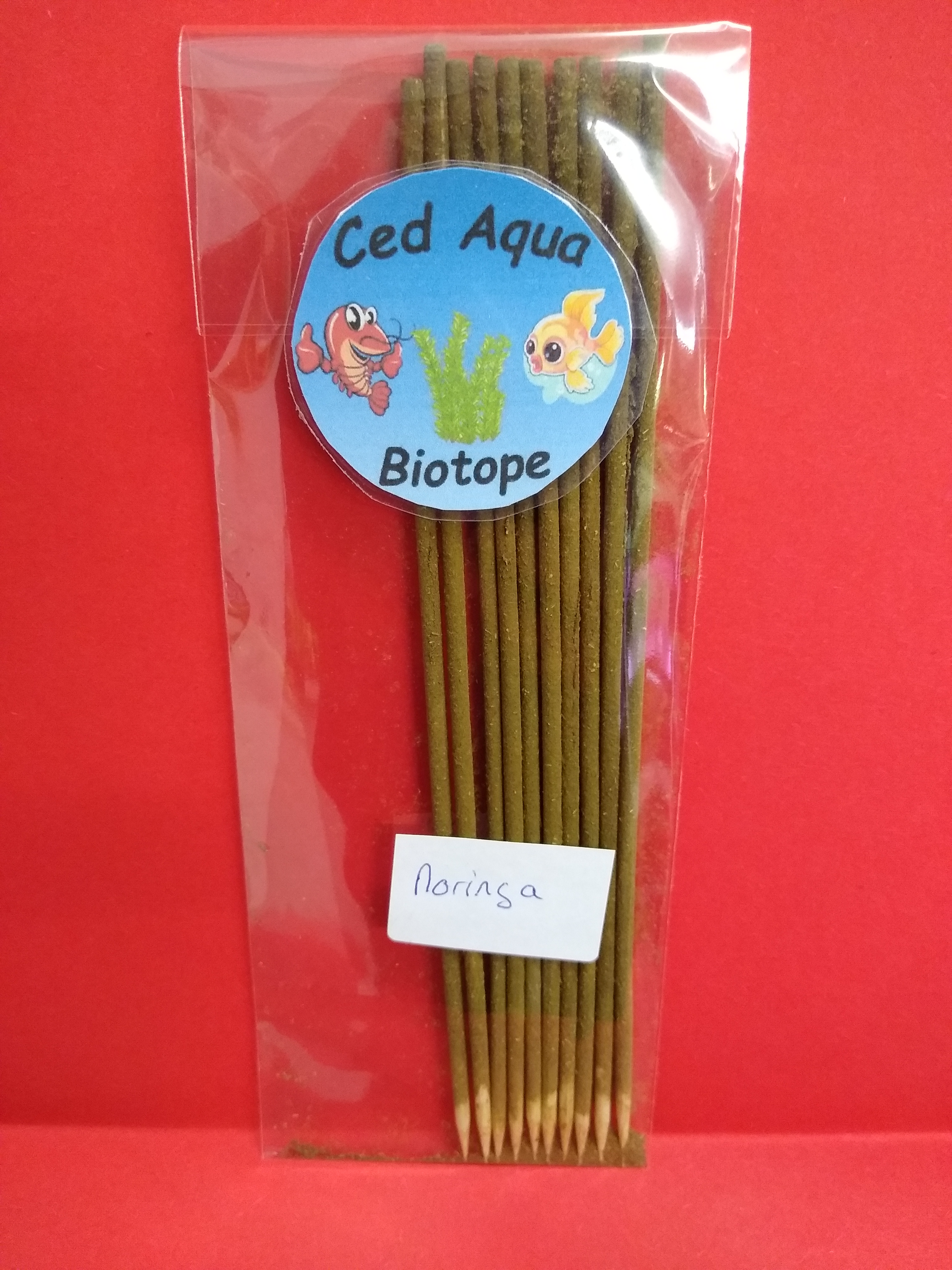 Lollies pour crevettes Moringa