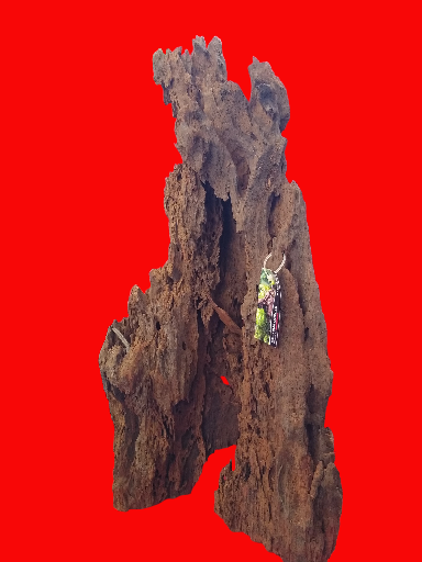 Racine Mangrove 40-60 cm Racine 2