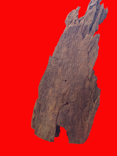 Racine Mangrove 40-60 cm Racine 2