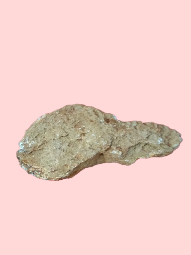 Rock Grand Canyon S/M Pierre 1