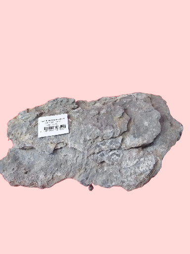 Rock Gray Mountain S/M Pierre 10