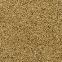 Immune Probiotic Gran XS SERA 250 ml