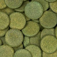 Pleco Tabs XL SERA 250 ml