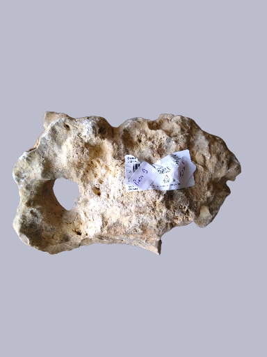 Rock Hole Stone S/M  Pierre 9