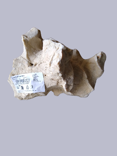 Rock Hole Stone S/M Pierre 6