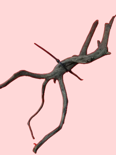 Scaper Root S 25-30 cm Racine 5