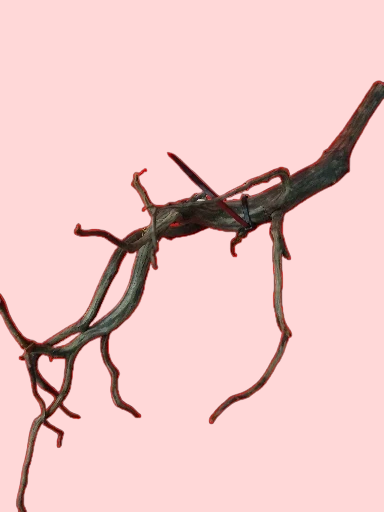 Scaper Root S 25-30 cm Racine 4